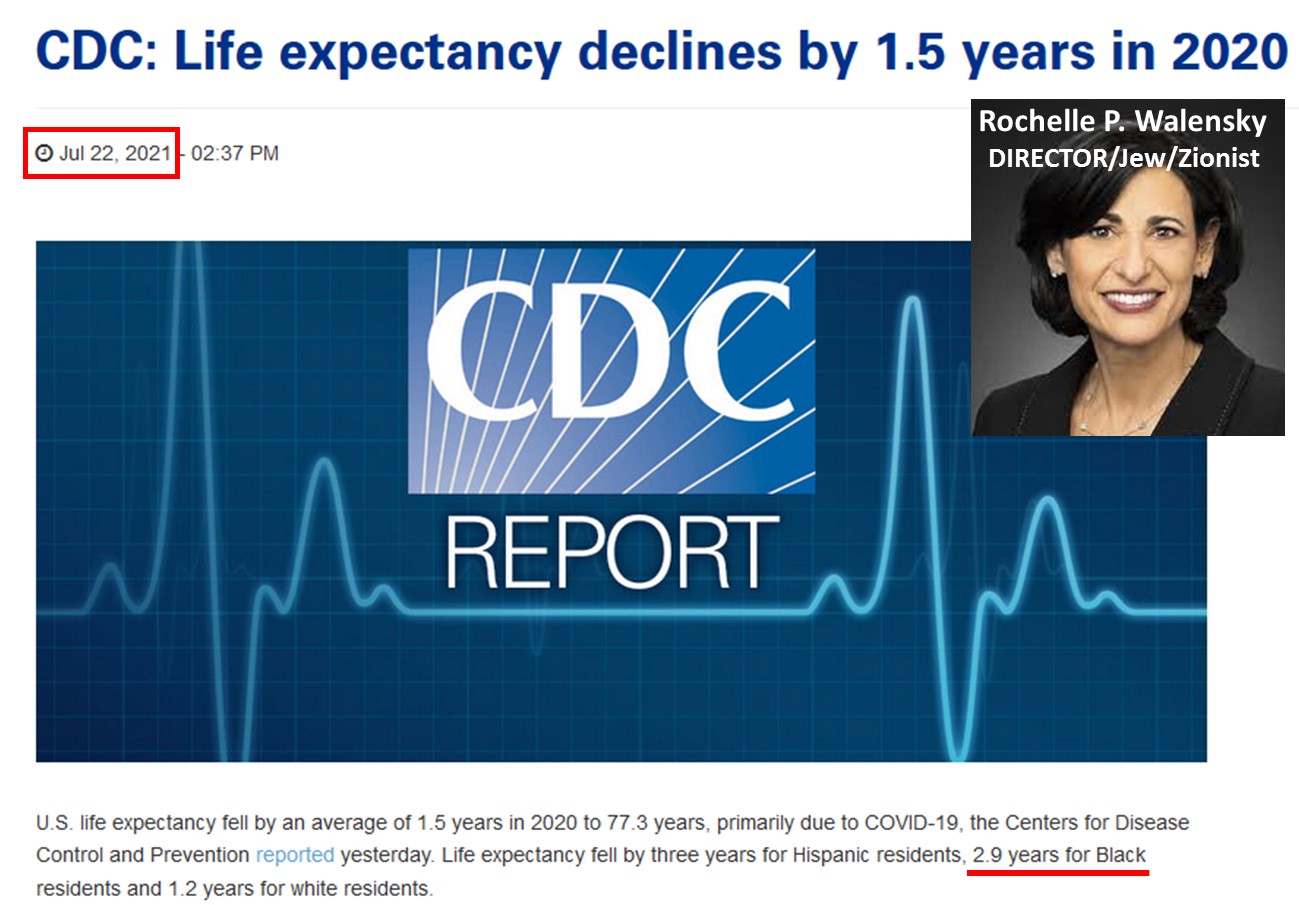 CDC Life Expectancy COVID